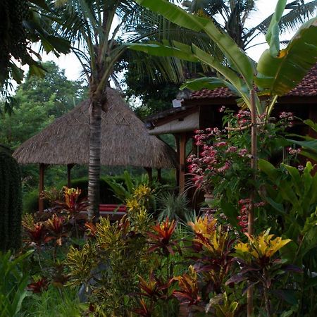 Rumah Sungai Villa Ubud Zewnętrze zdjęcie