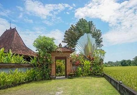 Rumah Sungai Villa Ubud Zewnętrze zdjęcie