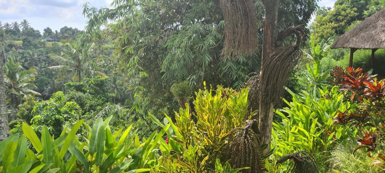 Rumah Sungai Villa Ubud Zewnętrze zdjęcie