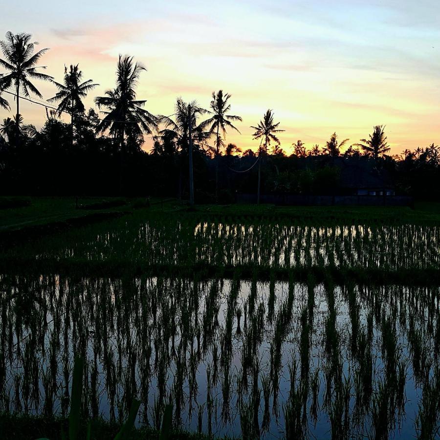 Rumah Sungai Villa Ubud Zewnętrze zdjęcie