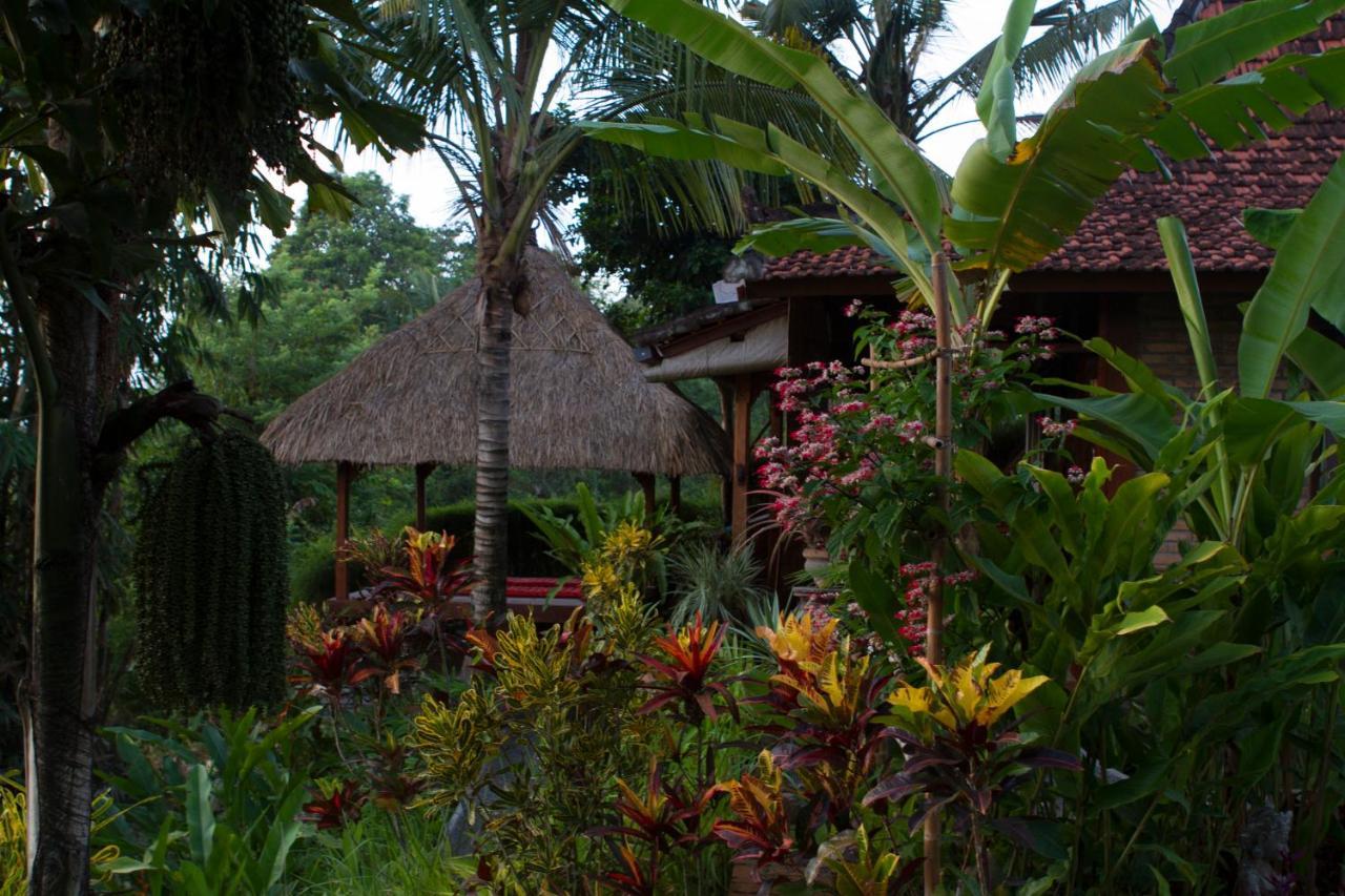 Rumah Sungai Villa Ubud Zewnętrze zdjęcie