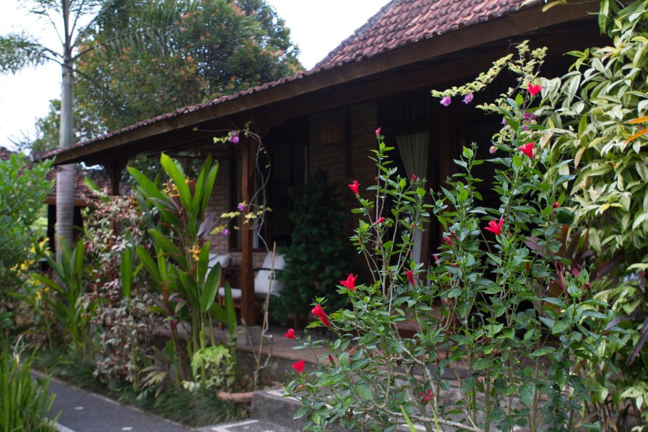 Rumah Sungai Villa Ubud Zewnętrze zdjęcie