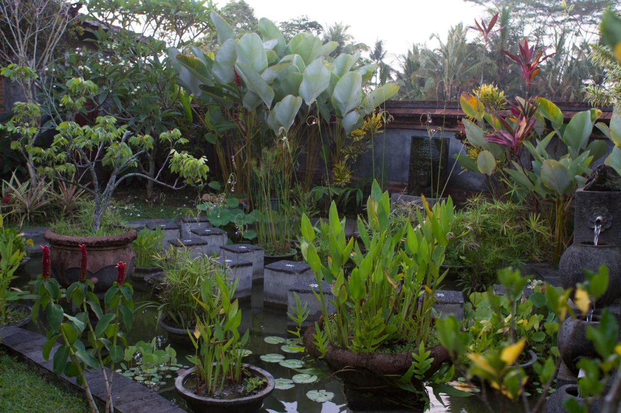 Rumah Sungai Villa Ubud Zewnętrze zdjęcie