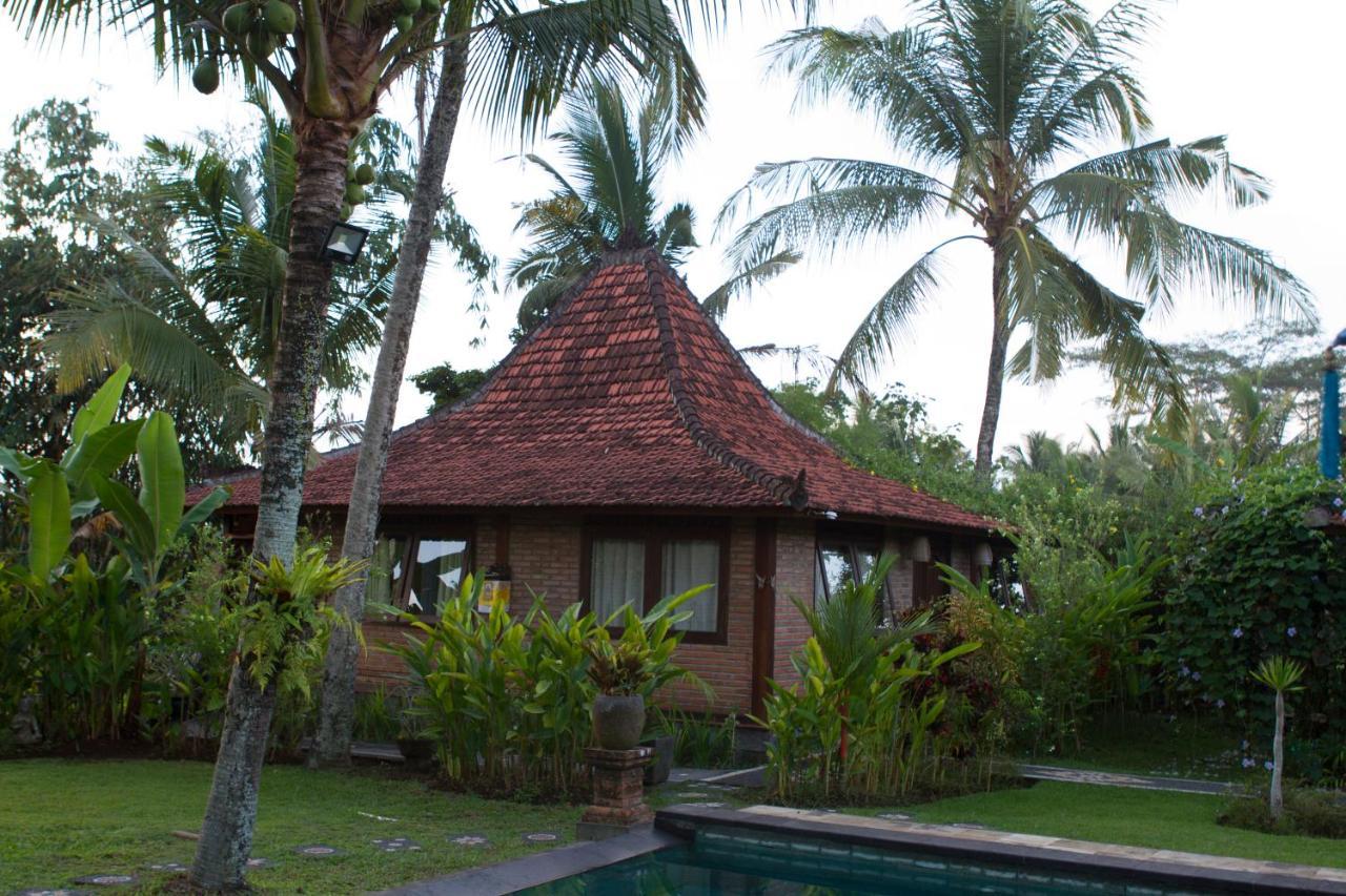 Rumah Sungai Villa Ubud Zewnętrze zdjęcie