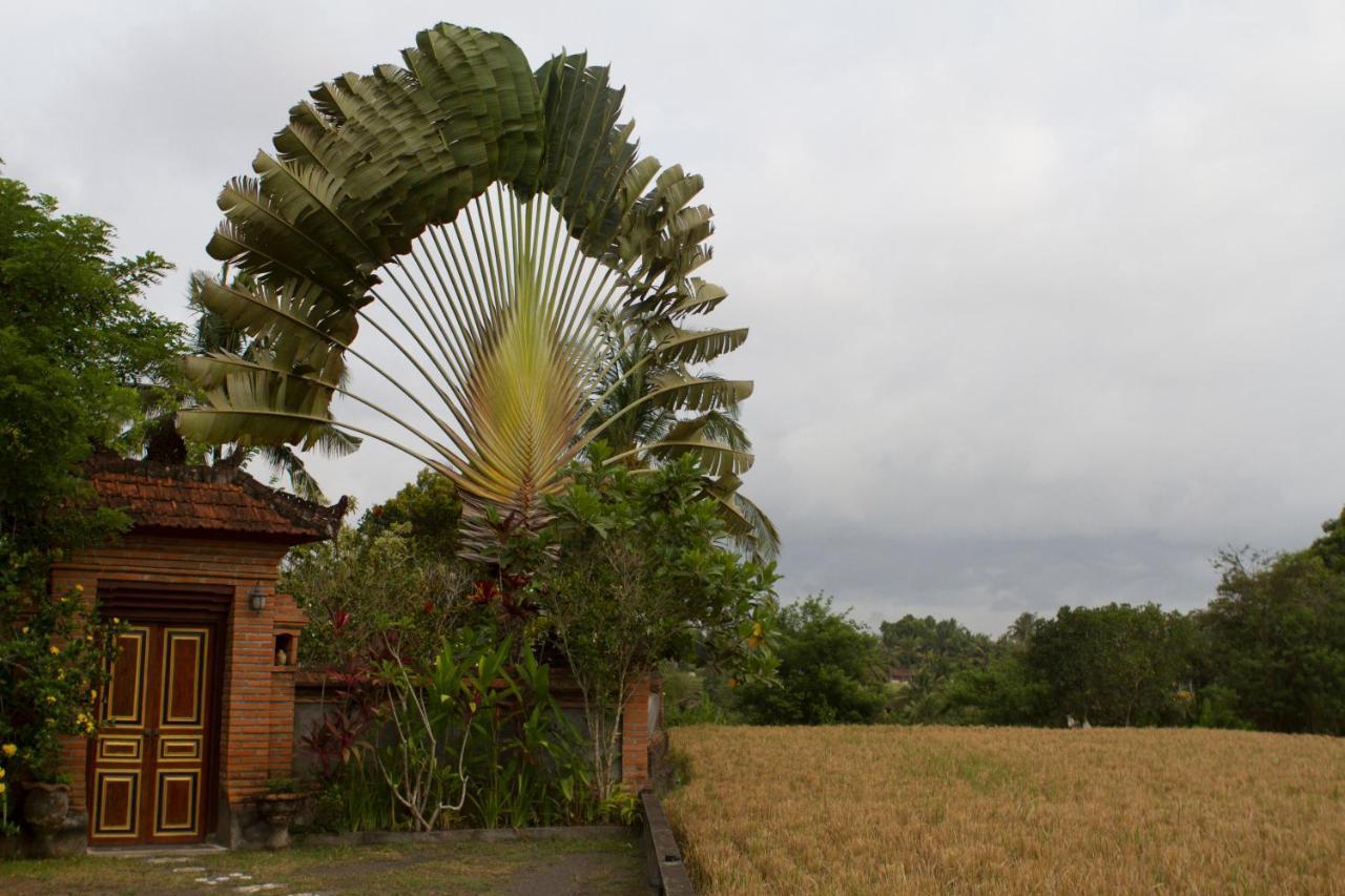 Rumah Sungai Villa Ubud Zewnętrze zdjęcie
