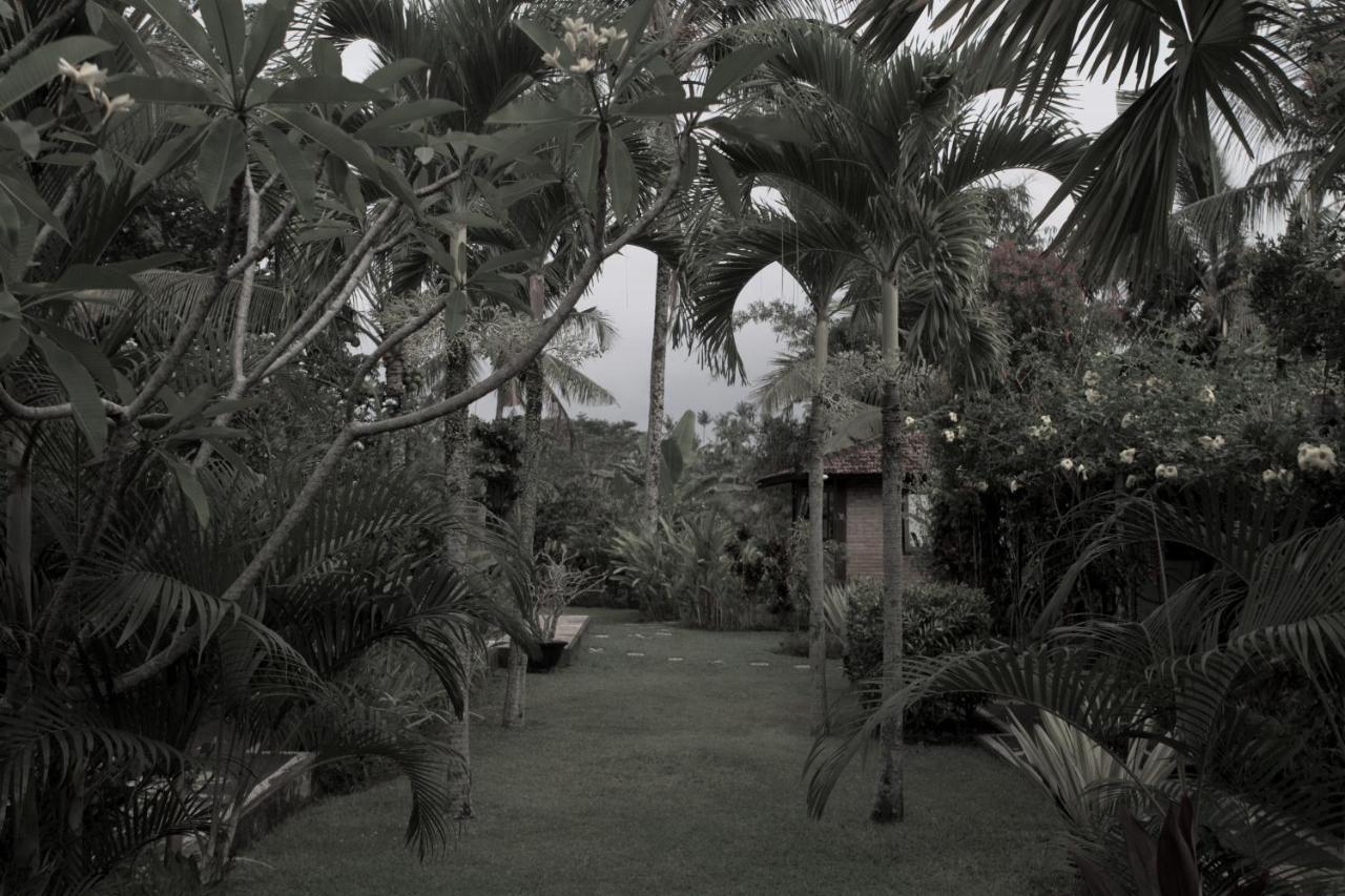 Rumah Sungai Villa Ubud Zewnętrze zdjęcie