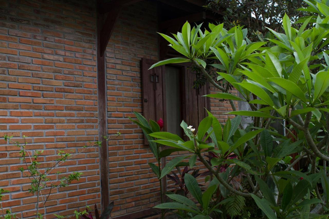 Rumah Sungai Villa Ubud Zewnętrze zdjęcie