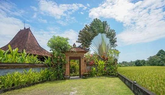 Rumah Sungai Villa Ubud Zewnętrze zdjęcie