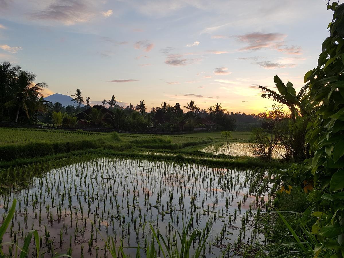 Rumah Sungai Villa Ubud Zewnętrze zdjęcie