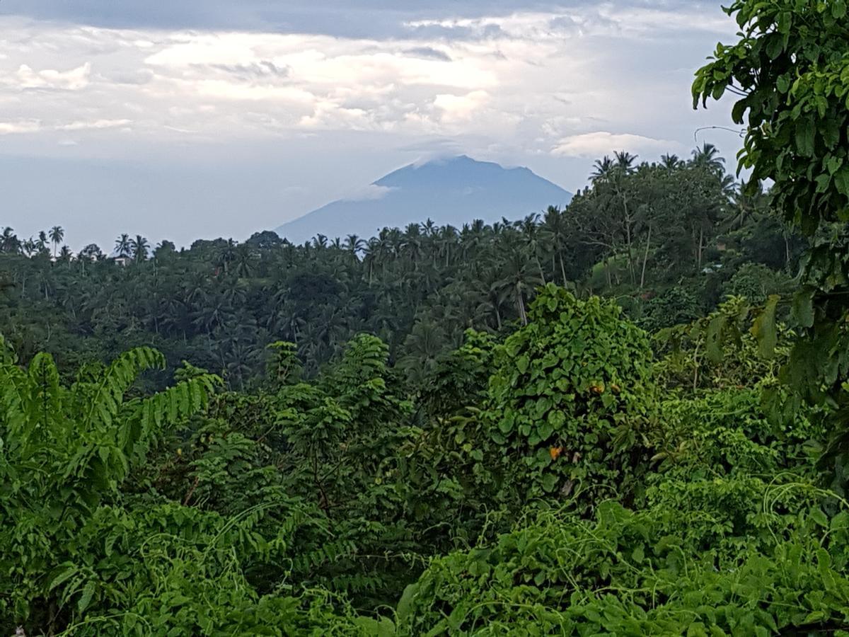 Rumah Sungai Villa Ubud Zewnętrze zdjęcie