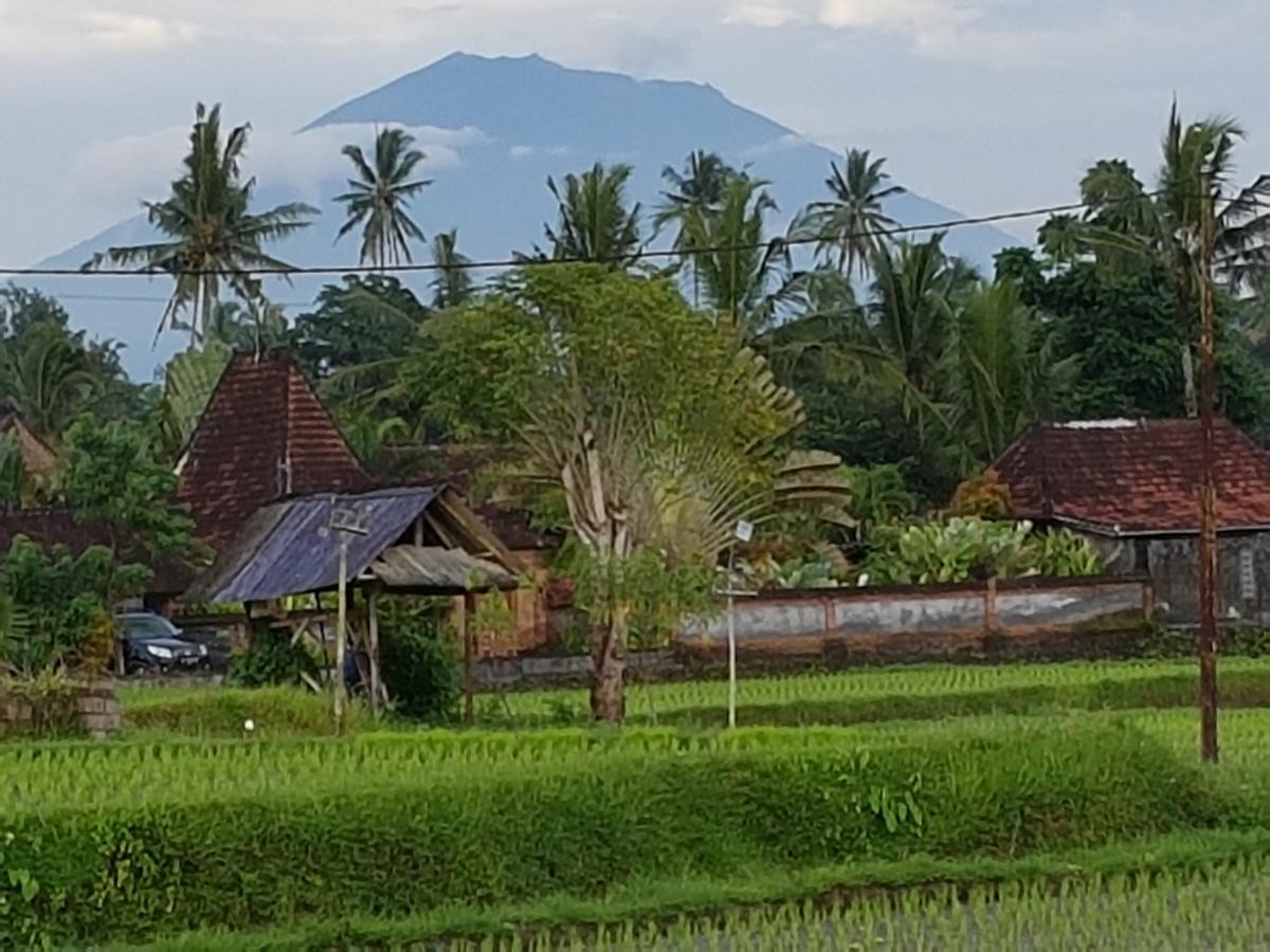 Rumah Sungai Villa Ubud Zewnętrze zdjęcie
