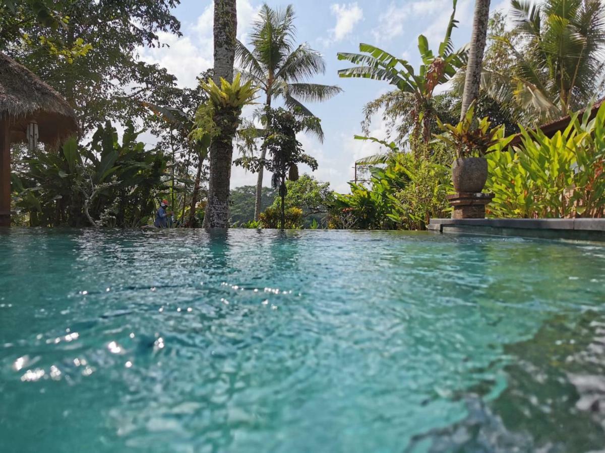 Rumah Sungai Villa Ubud Zewnętrze zdjęcie