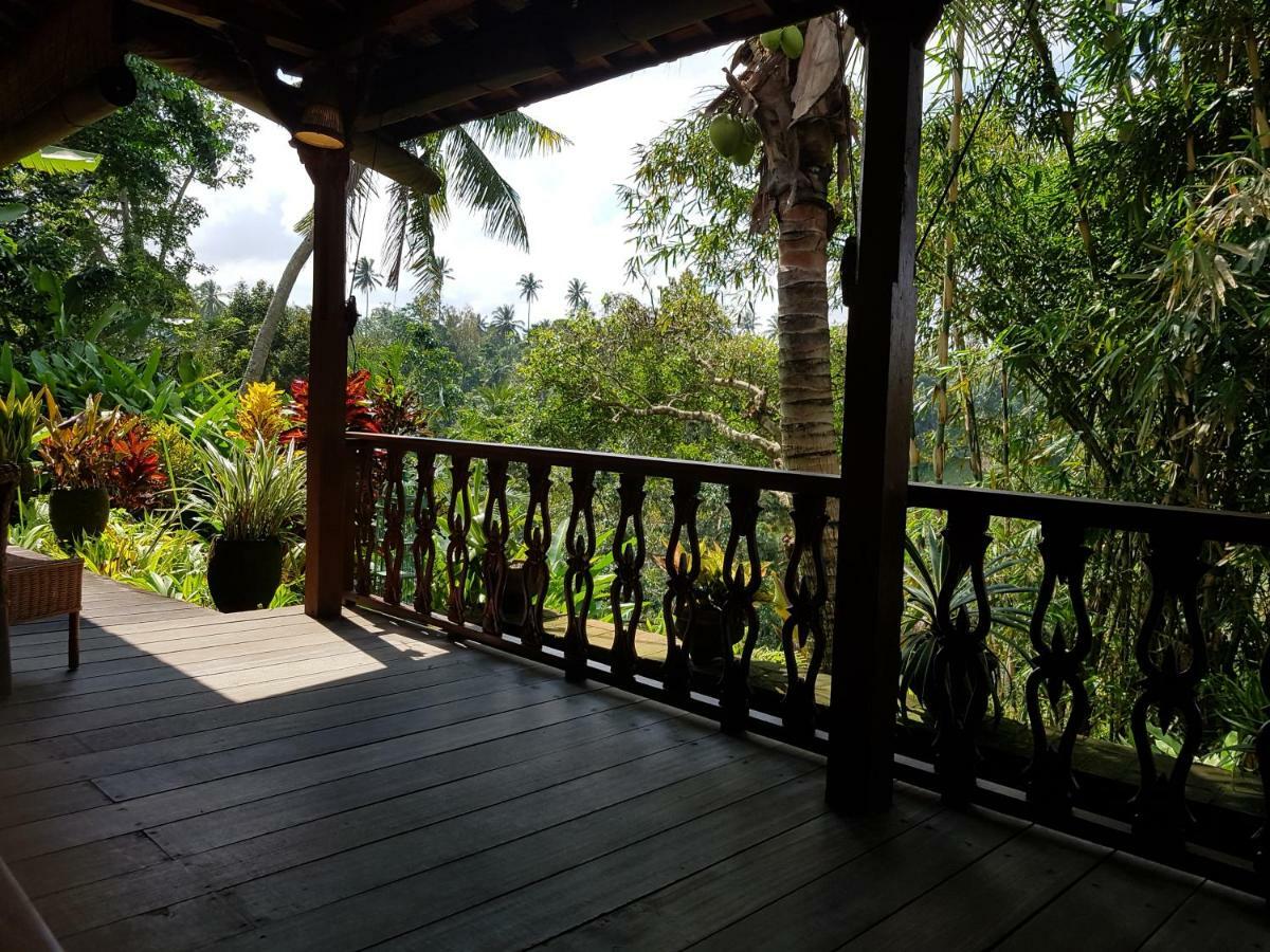 Rumah Sungai Villa Ubud Zewnętrze zdjęcie